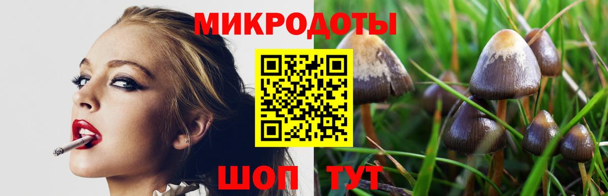 Псилоцибиновые грибы GOLDEN TEACHER Черняховск